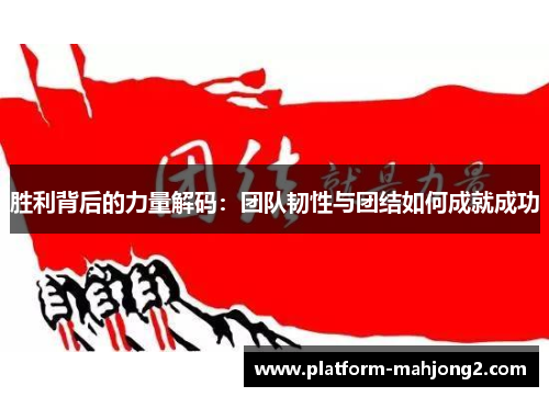 胜利背后的力量解码：团队韧性与团结如何成就成功