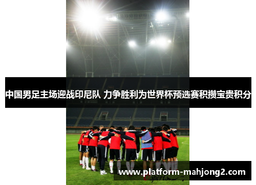 中国男足主场迎战印尼队 力争胜利为世界杯预选赛积攒宝贵积分 中国男足主场迎战印尼队 力争胜利为世界杯预选赛积攒宝贵积分